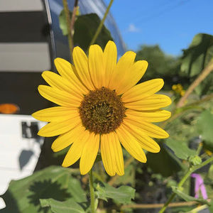 Meet your Posher, Aniston